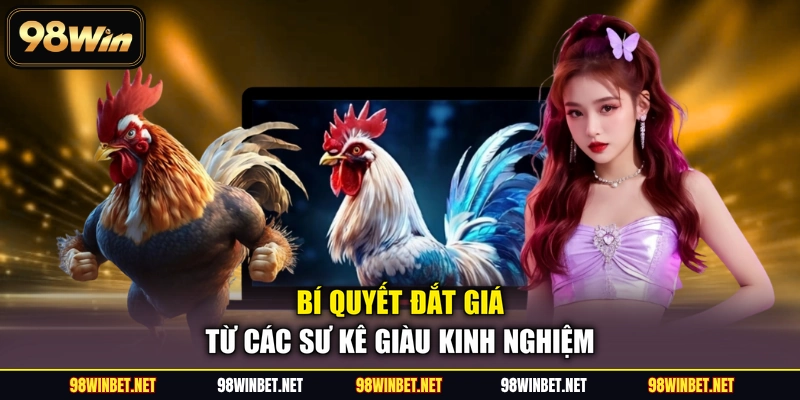 Sảnh ICF - 4+ Đấu Trường Cá Cược Đá Gà Được Săn Đón