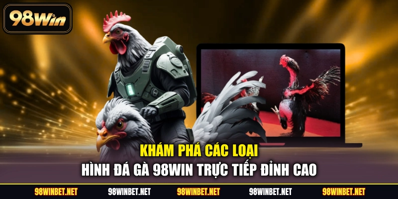 Đá Gà 98WIN - Sảnh Cược Trực Tiếp Kịch Tính Và Hấp Dẫn