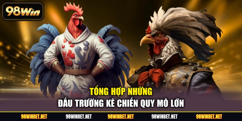 Sảnh ICF - 4+ Đấu Trường Cá Cược Đá Gà Được Săn Đón