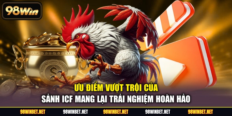Sảnh ICF - 4+ Đấu Trường Cá Cược Đá Gà Được Săn Đón